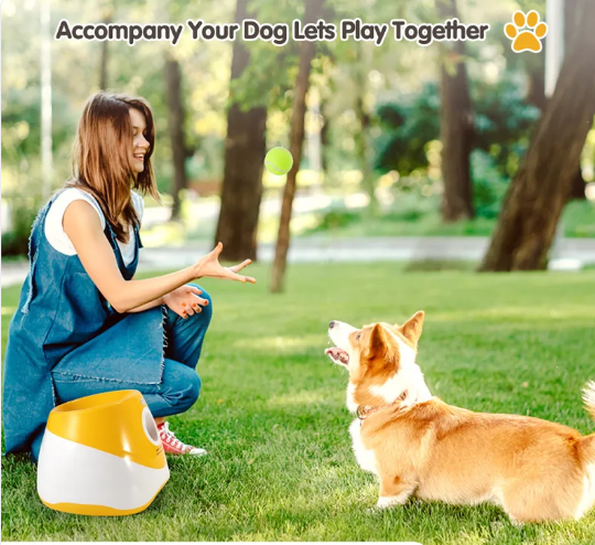 Dog Tennis Launcher